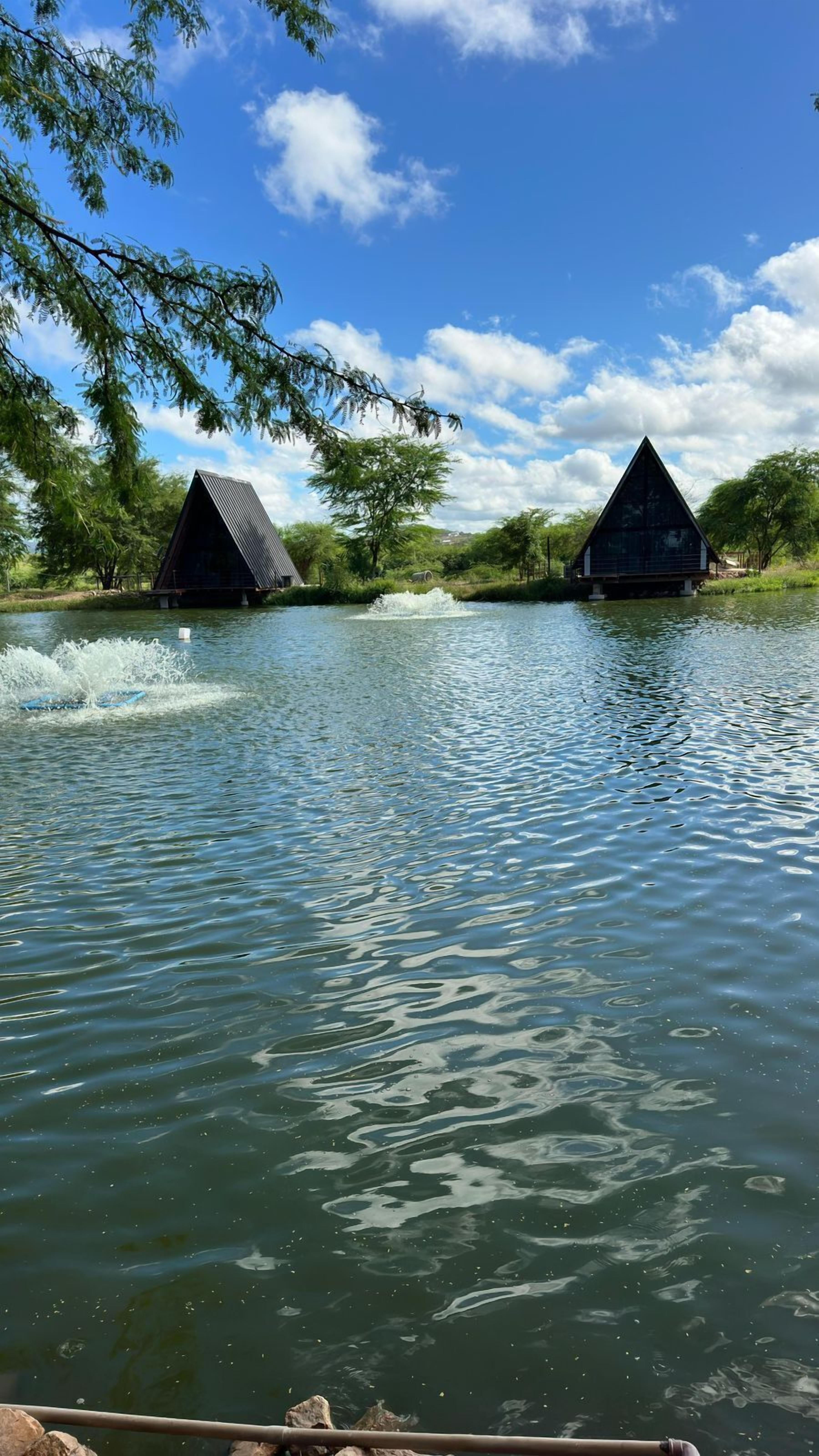 A river with two wooden cabins on either side.