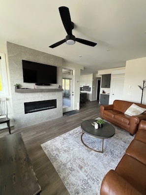 Smart TV, fireplace, books