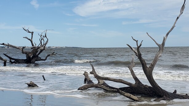 A beach with driftwood and waves. - Charming 3-bedroom home within walking distance to  downtown area/FLETC friendly (Darien)