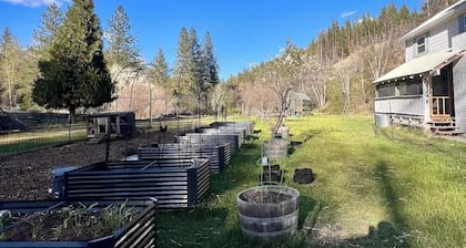 Koozee Farm