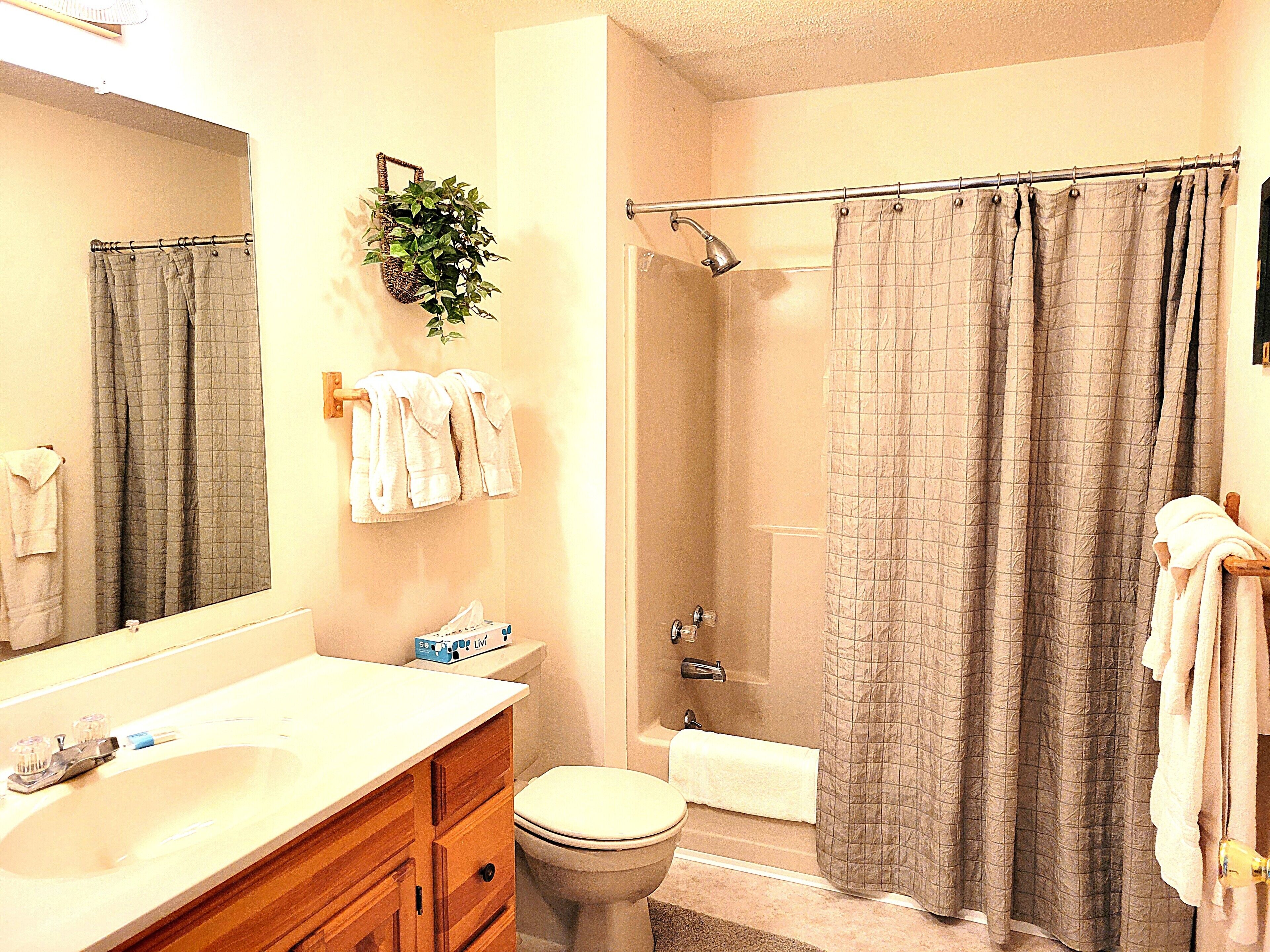 A bathroom with a sink, toilet, and shower. There are towels hanging on the wall and a plant above the sink.
