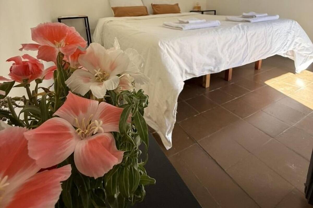 A hotel room with a bed, pillows, and a nightstand. There is a plant in the foreground.