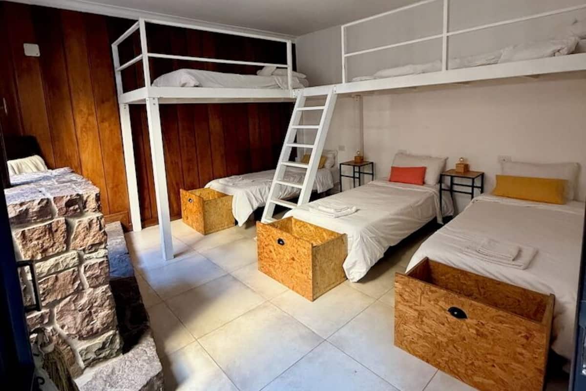 Standard Shared Dormitory, Mixed Dorm, Shared Bathroom, Courtyard View | Premium bedding, down comforters, WiFi (free)