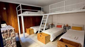 Standard Shared Dormitory, Mixed Dorm, Shared Bathroom, Courtyard View | Premium bedding, down duvets, free WiFi
