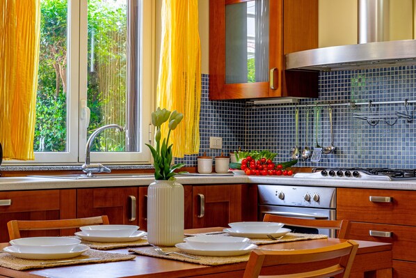 Fridge, oven, stovetop, electric kettle