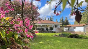 A house with a well-maintained lawn, a small garden with various plants, and a clear blue sky. - country cottage (Waipapa)
