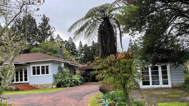 A house with a gravel driveway, surrounded by various trees and plants. - country cottage (Waipapa)