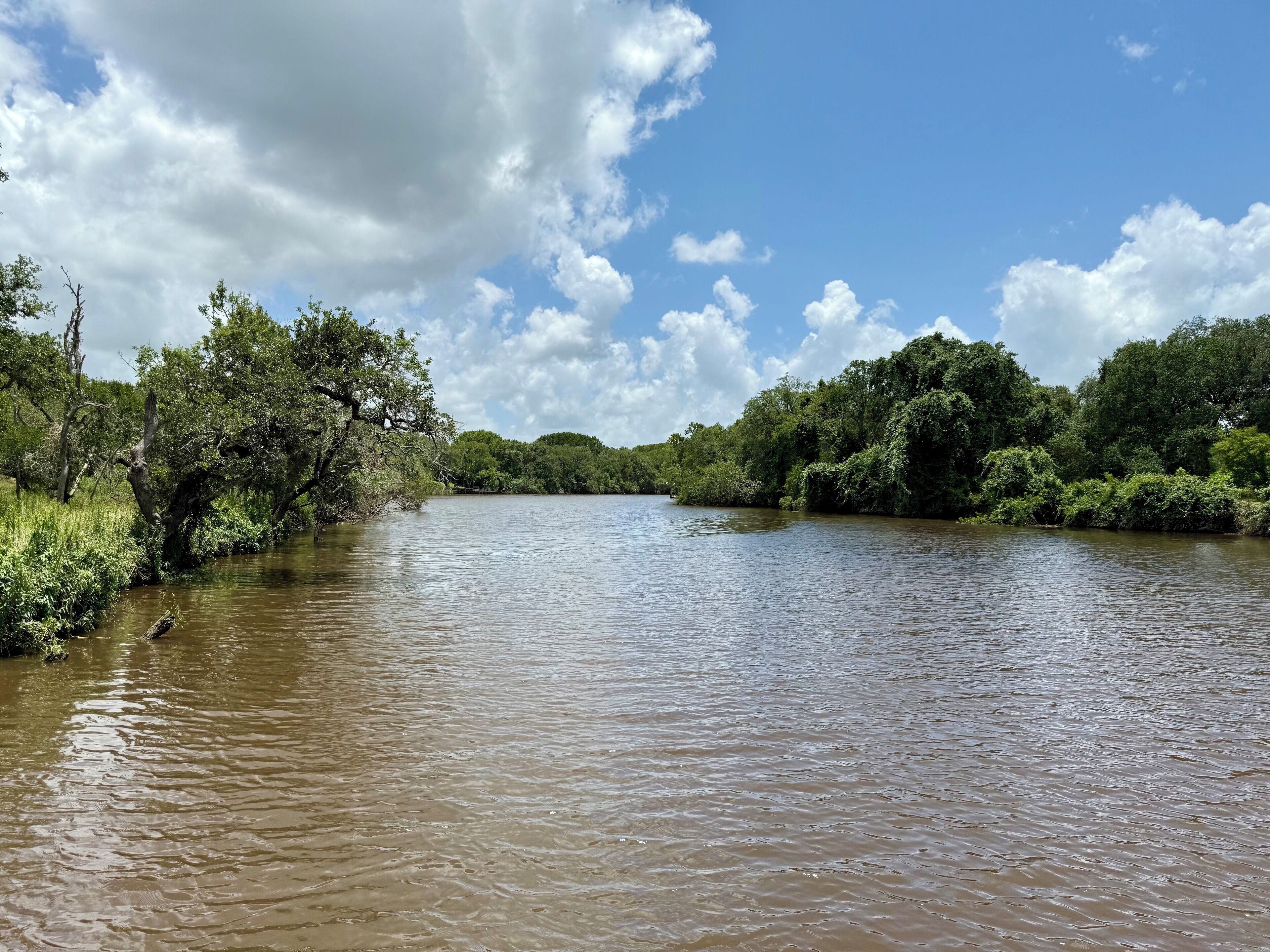 Une rivière bordée d’une végétation luxuriante et d’arbres.
