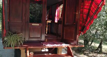 Petite maison 'La Roulotte Authentique' avec terrasse privée, jardin privé et Wi-Fi