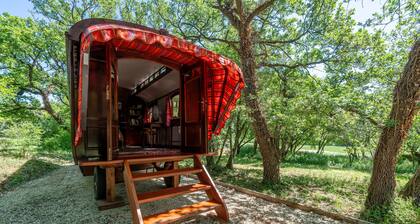 Petite maison 'La Roulotte Authentique' avec terrasse privée, jardin privé et Wi-Fi
