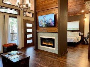 Smart TV, fireplace, books