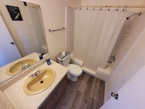 Serviettes fournies, savon, papier toilette