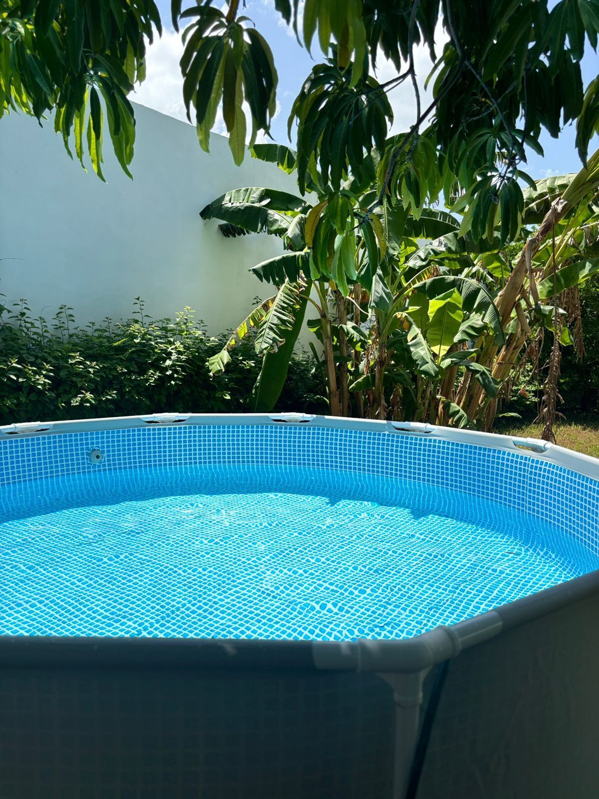 Alberca al aire libre 