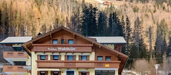 Room 'Pension Waldheim  1' with Mountain View, Shared Garden and Wi-Fi