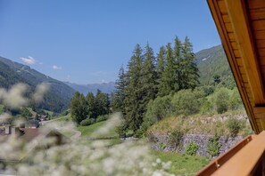Interior - Room 'Pension Waldheim  10' with Mountain View, Shared Garden and Wi-Fi (Ahrntal)