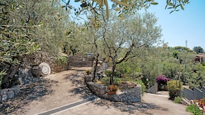 Un sentier de pierres serpente à travers un olivier, bordé d’un mur de pierres et de plantes en pot.