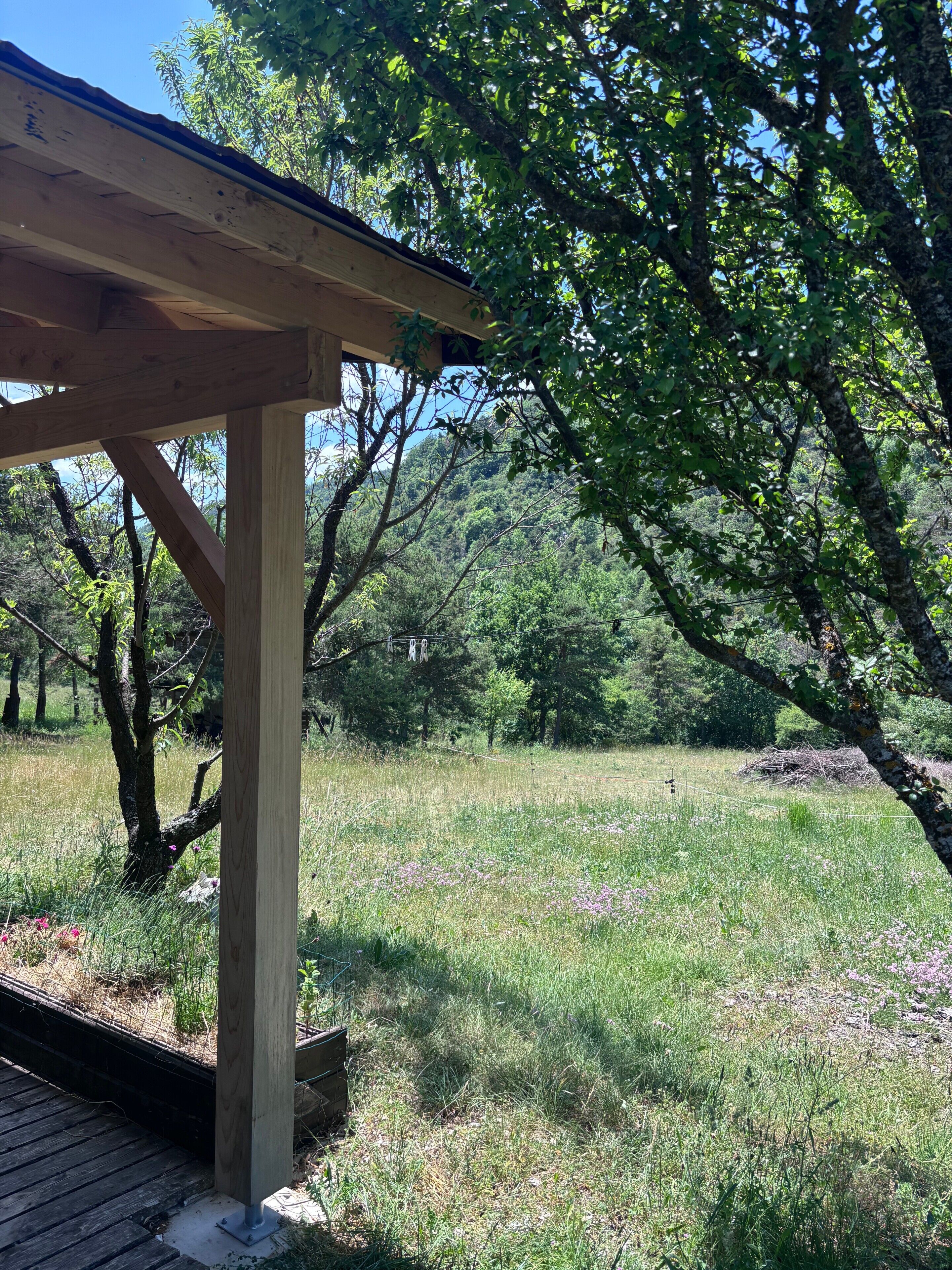 Een houten pergola in een natuurlijke omgeving met bomen en gras.
