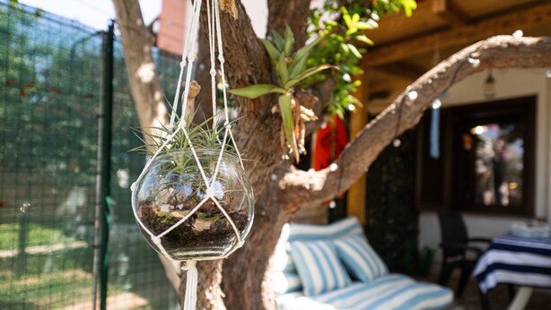 Et træ med hængende glas-terrarier, en træbænk og et bord med dug i striber.