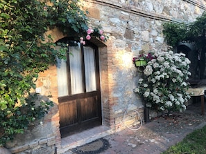 A stone building with a wooden door, a small window with curtains, and a white flowering bush.