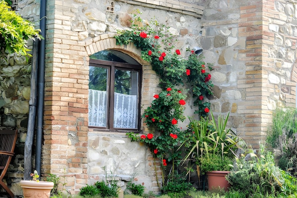 A stone building with a window, a brick archway, and a climbing red rose bush.