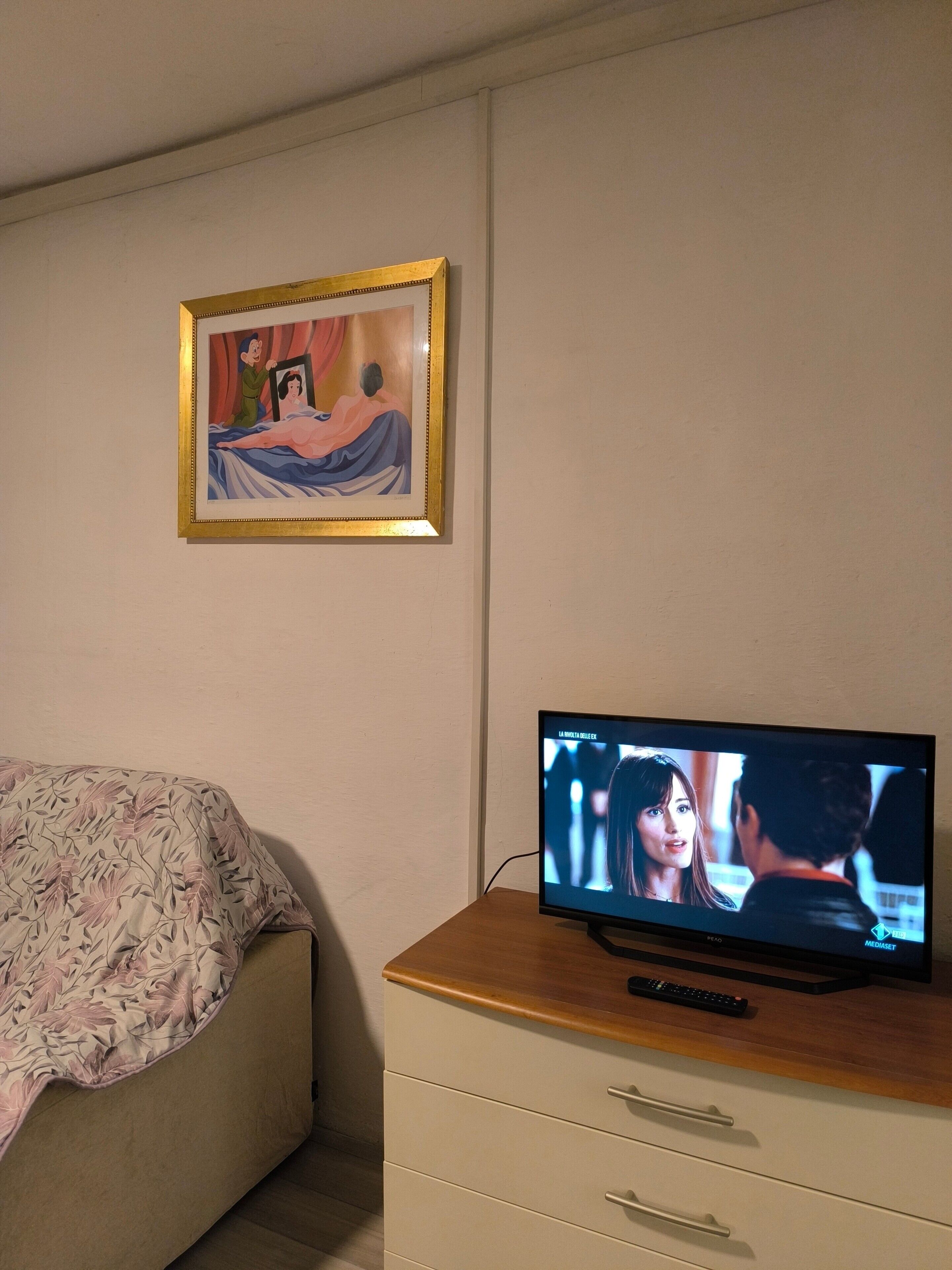 Une chambre à coucher avec un lit, un téléviseur posé sur une commode en bois et un tableau encadré accroché au mur.