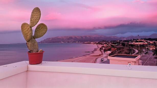A cactus in a red pot on a balcony overlooking a beach and mountains.