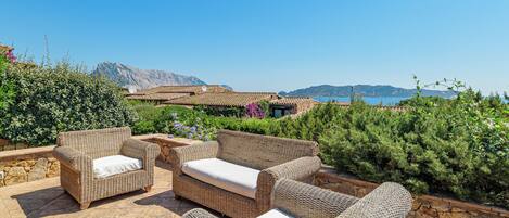 テラス / パティオ