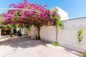 A courtyard with a tree covered in pink flowers, a white wall, and a small green plant.