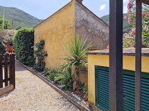 Un estrecho sendero de grava conduce a un edificio amarillo con una persiana verde, rodeado de vegetación y con una montaña de fondo.