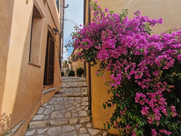 Overnattingsstedets uteområder