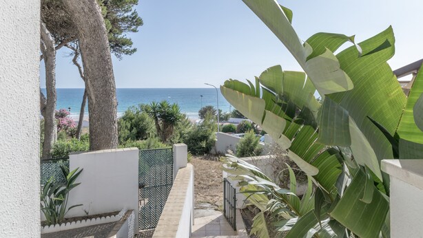A pathway leading to a balcony overlooking a beach, with tropical plants and a white wall. - 'Mirador De La Atalaya' Apartment with Sea View, Private Terrace, Garden & Wi-Fi (Conil de la Frontera)