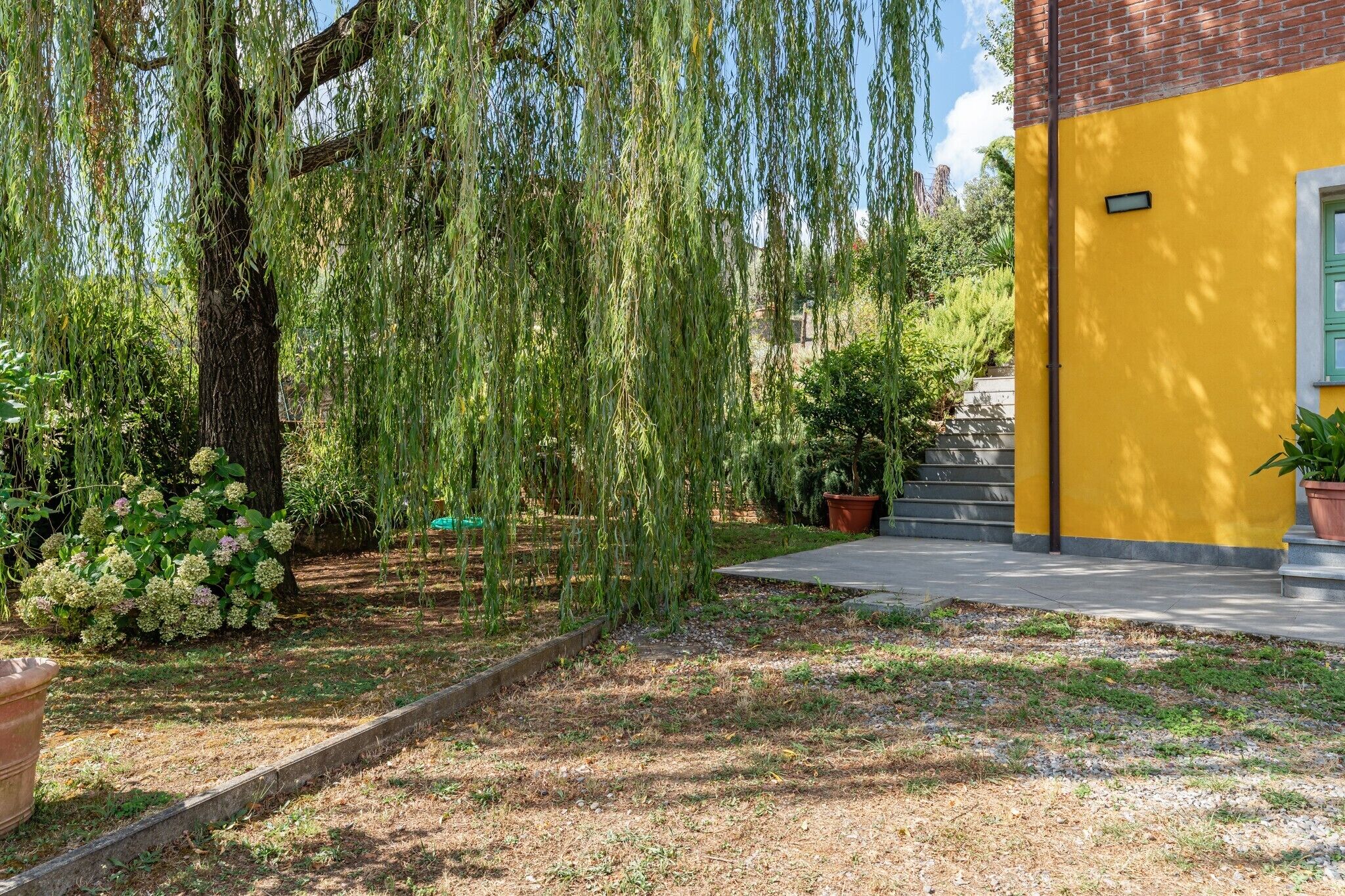 A yellow building with a green window, surrounded by a garden with a weeping willow tree and potted plants.