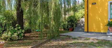 A yellow building with a green window, surrounded by a garden with a weeping willow tree and potted plants.