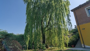 A large weeping willow tree in front of a yellow building with a brick facade. - Holiday Home 'Dulù - Luminoso Spazio' with Shared Garden, Balcony and Wi-Fi (Capannori)