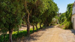 Un sendero de tierra flanqueado por árboles y vegetación, que conduce a un edificio con fachada blanca.