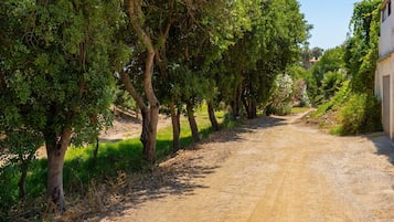 Áreas de la propiedad