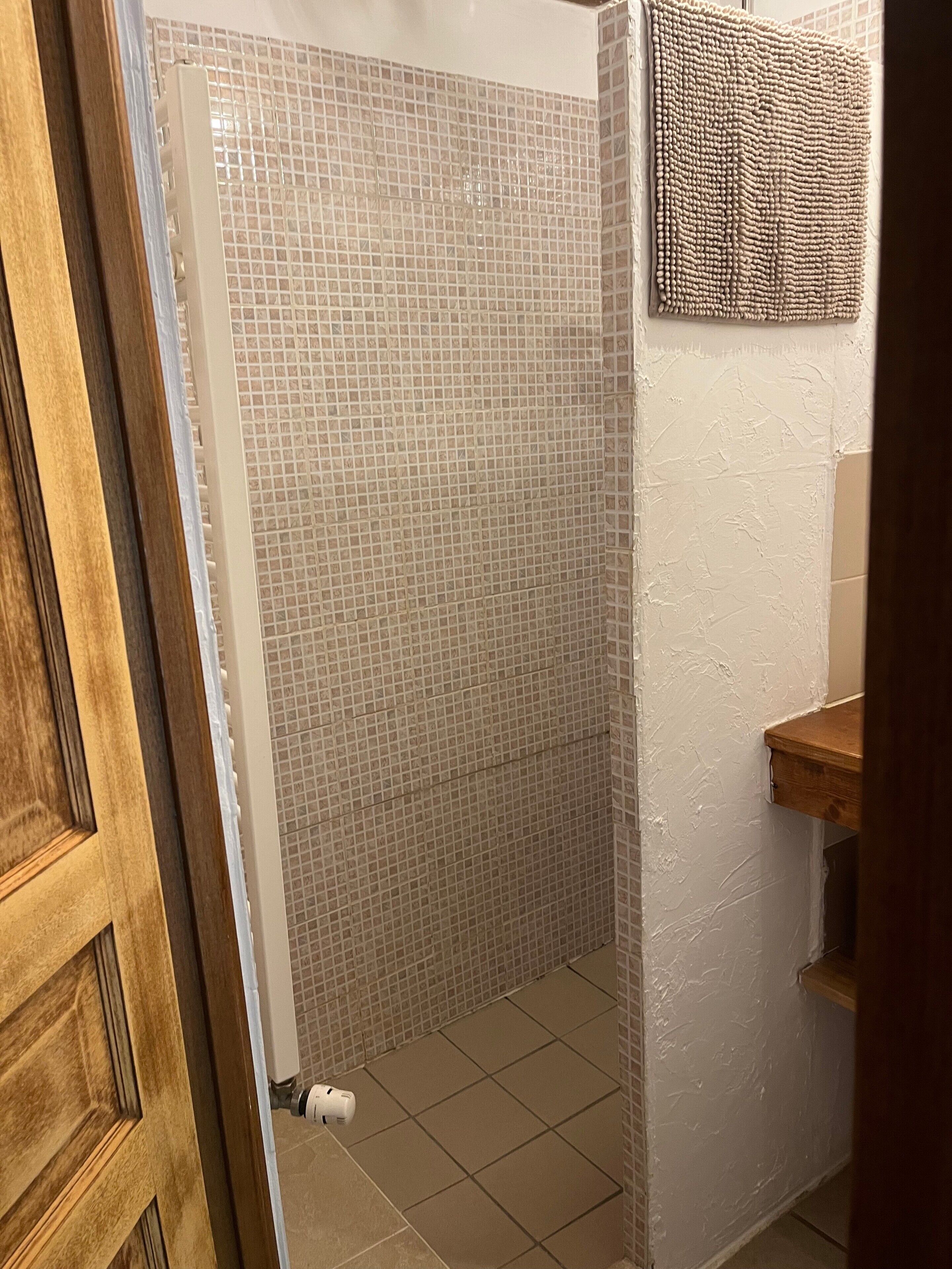 A bathroom with a tiled shower, a wooden door, and a towel rack.
