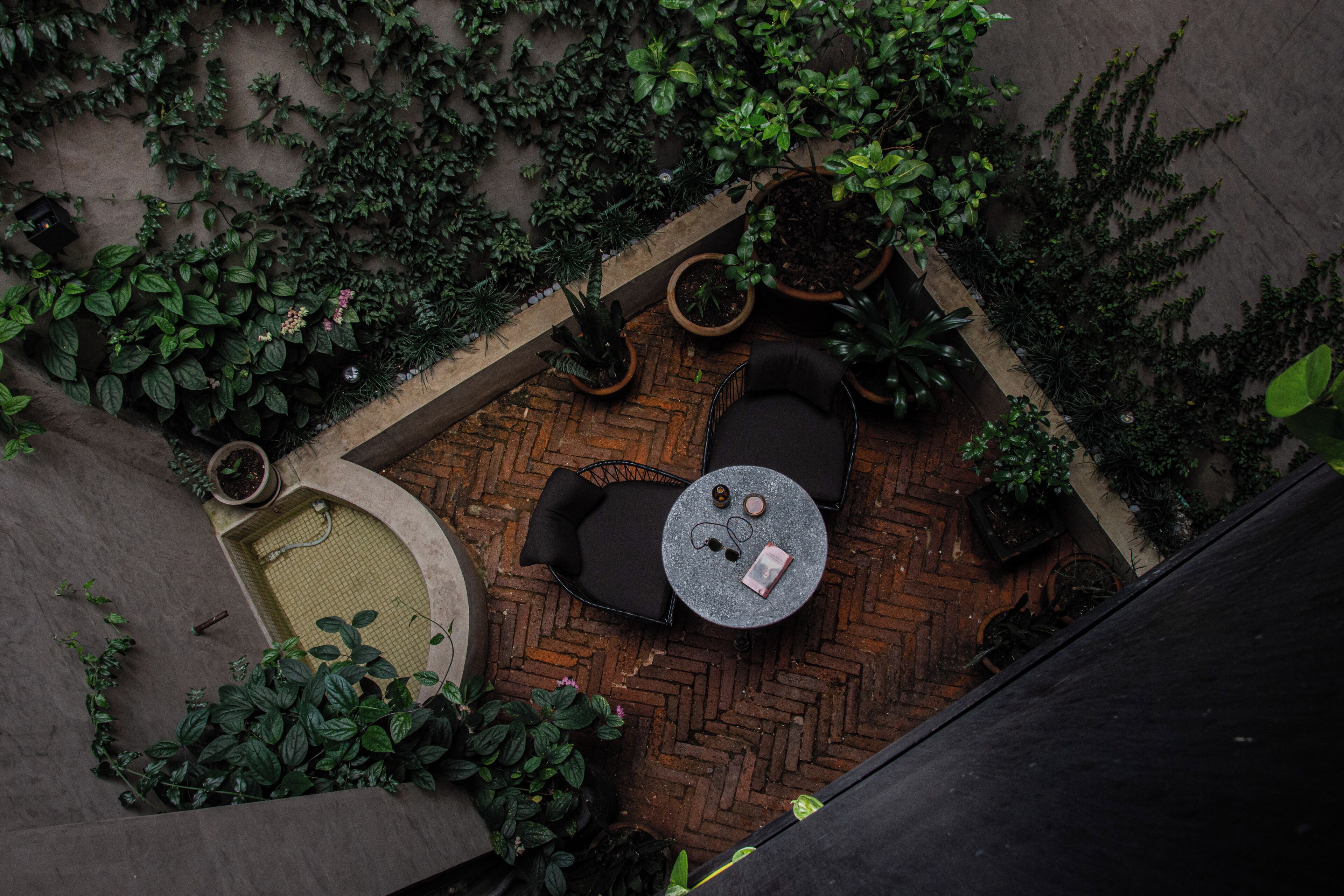 Une terrasse extérieure avec un sol en briques, entourée d’une végétation luxuriante et de plantes en pot.