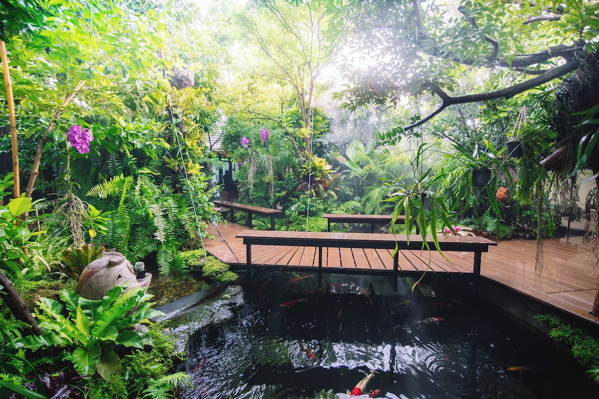 Garden view