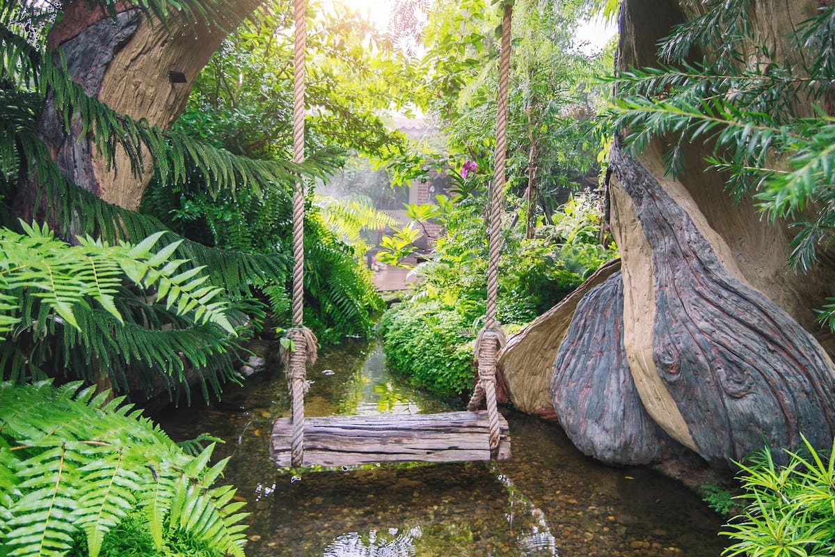 Garden view