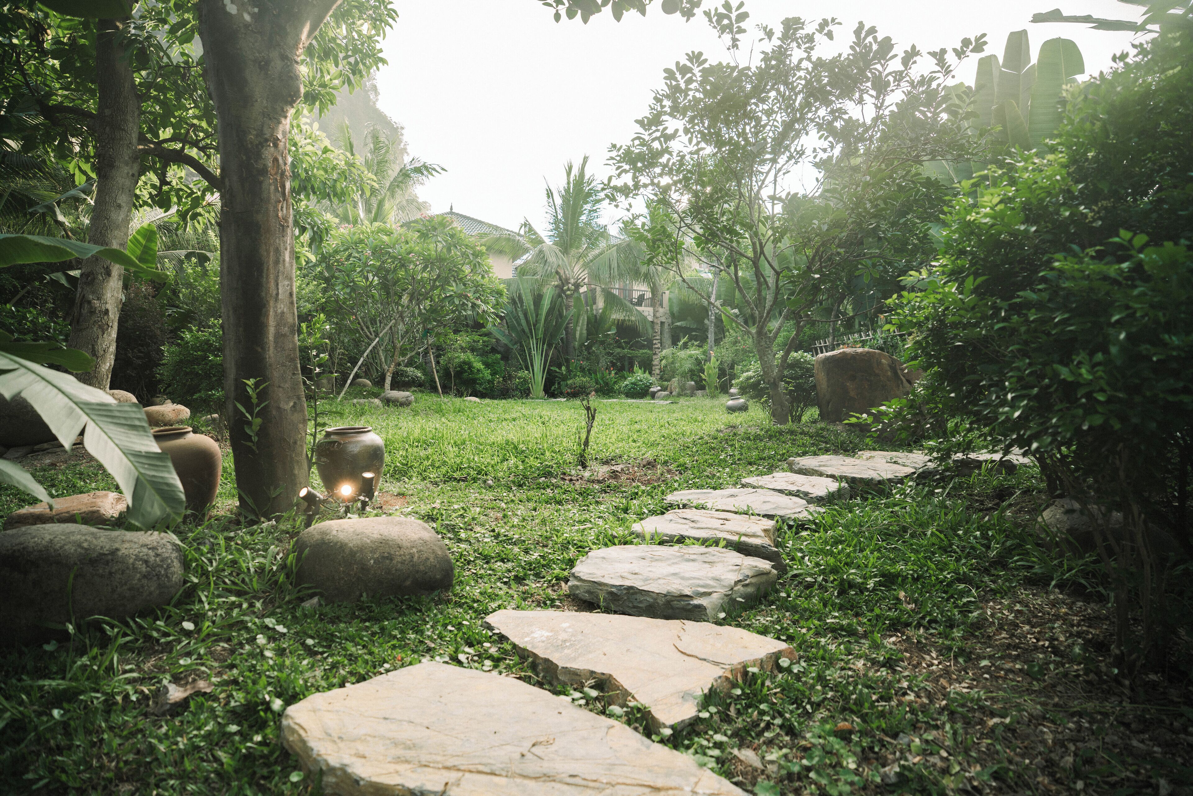 Un sendero de piedra en un jardín exuberante, con rocas grandes y abundante vegetación.