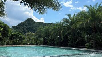 Outdoor pool, open 8:00 AM to 8:00 PM, pool loungers