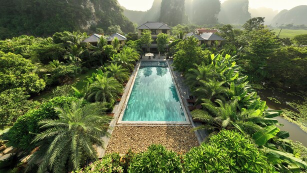 Un resort con piscina rodeada de exuberante vegetación y palmeras.