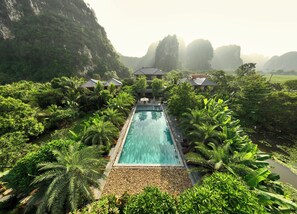 Un resort con piscina rodeada de exuberante vegetación y palmeras.