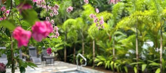 Casa Azul - Pool, nature, A/C, walk to the beach, fully equiped, made for groups