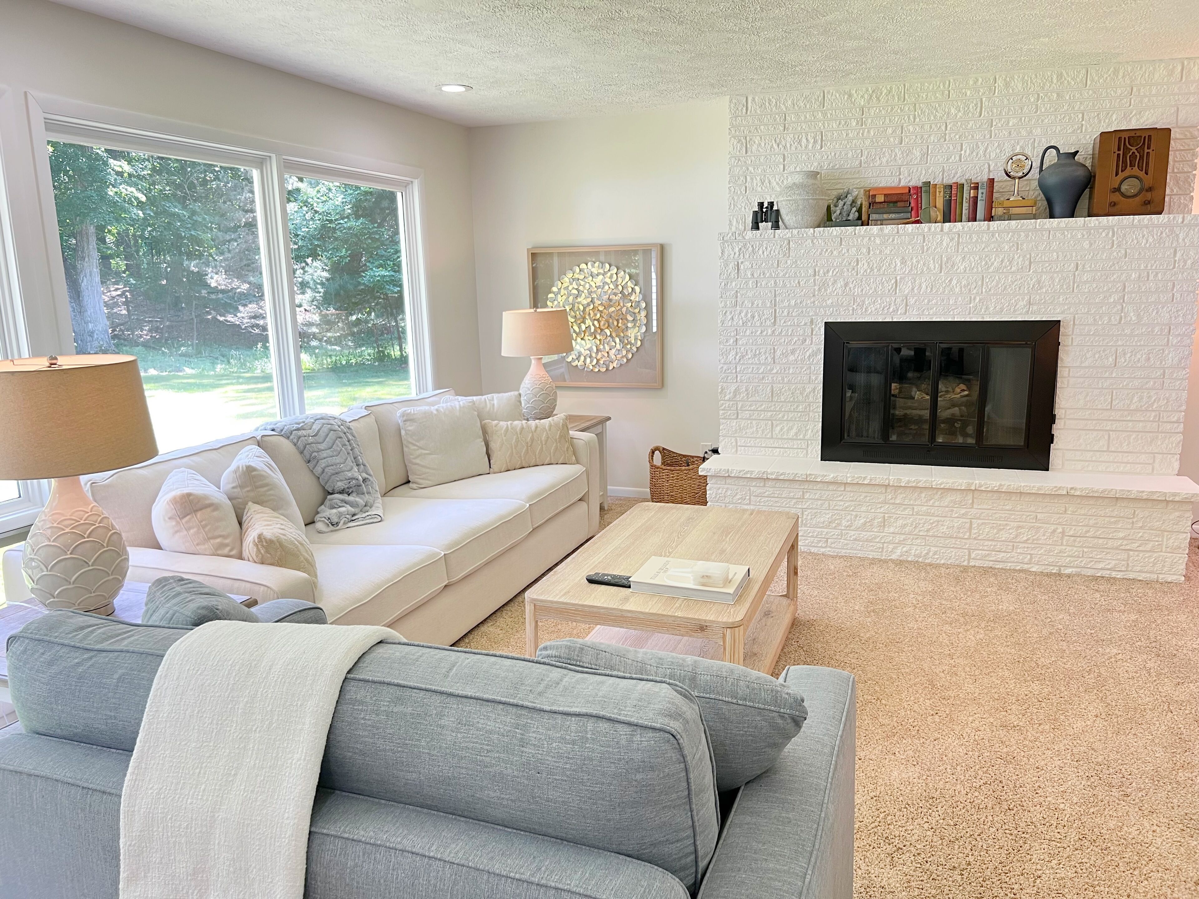 Smart TV, fireplace, books