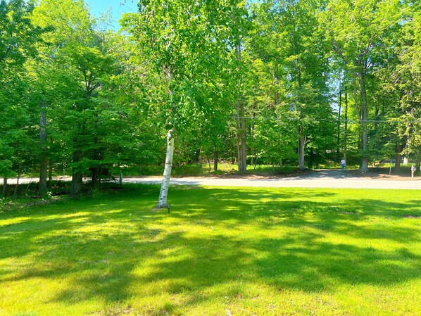 A park with a grassy area, trees, and a road in the background.