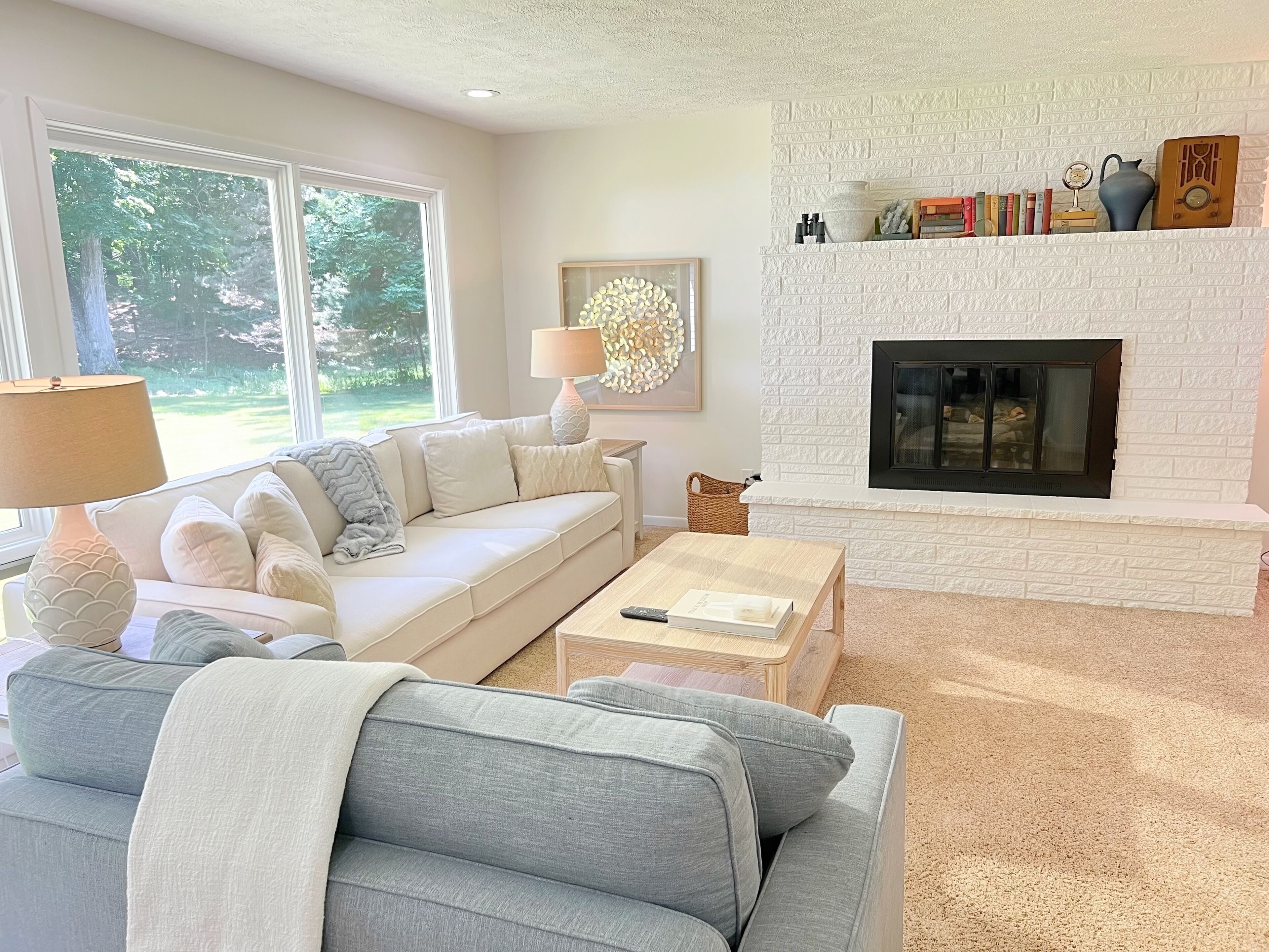 Smart TV, fireplace, books