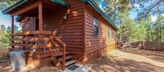 Bear Cabin - Forest Lakes