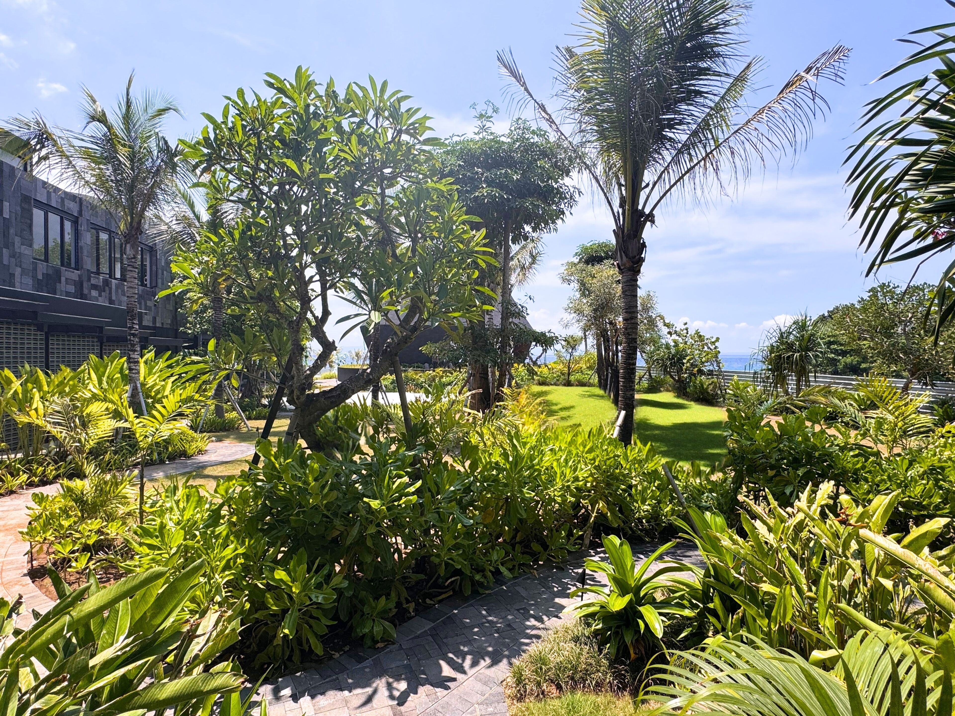 A lush garden with a variety of tropical plants and a paved walkway.